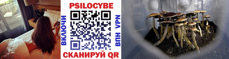 Псилоцибиновые грибы GOLDEN TEACHER  Орехово-Зуево 